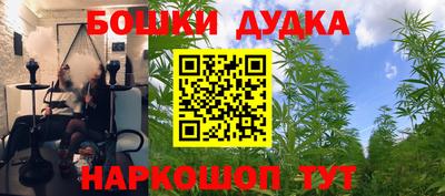 сатива Жуковский