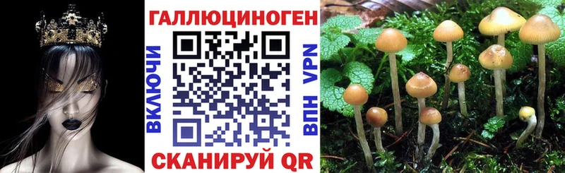 Галлюциногенные грибы мухоморы  дарнет шоп  Учалы 